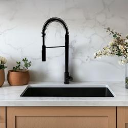 Waterevolution Flow semi-professionele keukenkraan mat zwart met kolom en veer T157PR