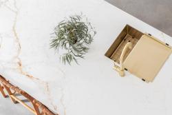 Pure.Sink Exclusivo arany színű, mobil csepegtető tálca, 440x335 mm-es mosogatóhoz, PEXTRAY-60